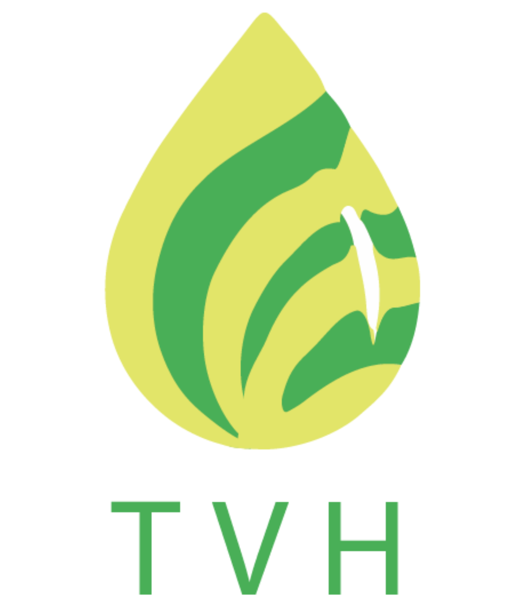 TVH